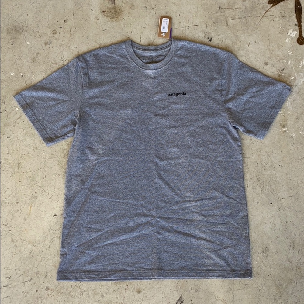 Patagonia Men’s Fitz Roy Horizons Responsibili-Tee